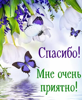 Открытка спасибо - бабочки на красивом цветочном фоне | Открытки,  Счастливые картинки, Цветочные фоны картинки