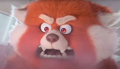 Скачать обои Angry Red Panda In Turning Red картинки