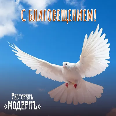 С Благовещением! — Ресторан \"Модернъ\" картинки