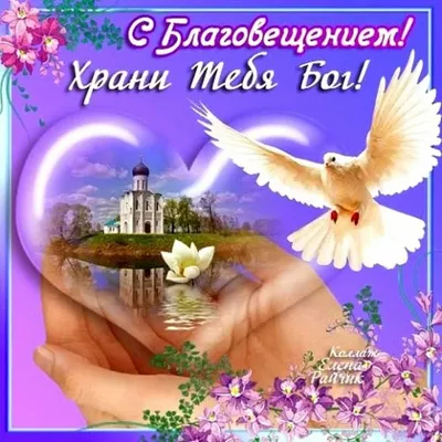 Благовещением !😇🌈🌞 картинки