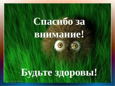 Веселая картинка спасибо за внимание (44 фото) » Юмор, позитив и много  смешных картинок картинки