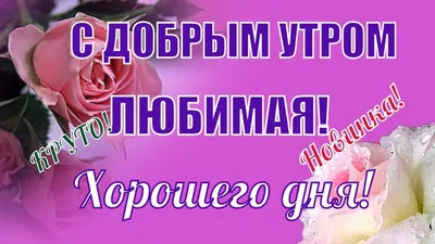 Доброе утро🌷🌈милая ❤️С добрым утром❤️любимая❤️доброго утра хорошего дня | Доброе  утро, Музыкальные картинки, Рисунки сердца картинки