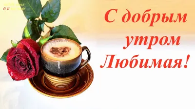 Доброе утро Любимая! Музыкой облаков…Дыханием свежести…Тёплых  губ…Музыкальная видео открытка. - YouTube картинки