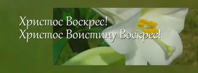 Христос Воскрес! картинки