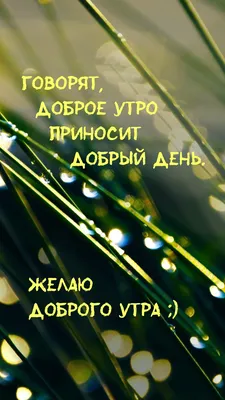 Картинки с надписью - Доброе утро приносит добрый день. картинки