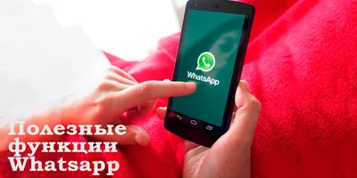 Скрытые функции WhatsApp, которыми многие не пользуются — ТОП-5 /  iTCrumbs.ru картинки