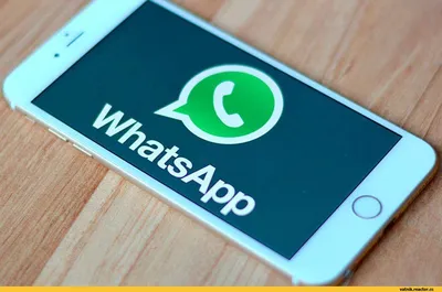 whatsapp / смешные картинки и другие приколы: комиксы, гиф анимация, видео,  лучший интеллектуальный юмор. картинки