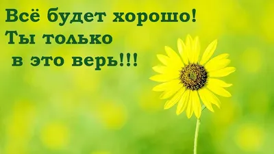 Видеооткрытка Всё будет хорошо! Ты только в это верь! картинки