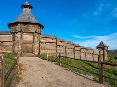 сердце пармы: новости сегодня картинки