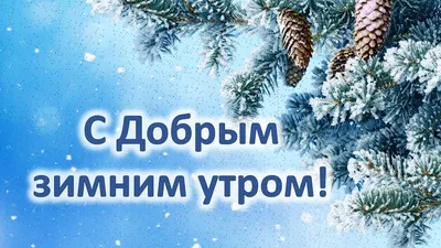 С добрым зимним утром!Красивое пожелание доброго утра! #открытка #доброеутро  - YouTube картинки