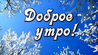 Доброе утро! Зима - это время чудес и новых ожиданий... Красивая  музыкальная открытка С Добрым утром - YouTube картинки