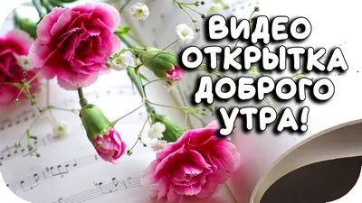 САМАЯ КРАСИВАЯ ОТКРЫТКА С ДОБРЫМ УТРОМ ДЛЯ ДРУЗЕЙ 2020! Пожелание доброг...  | Открытки, Фиолетовые розы, Музыкальные картинки картинки