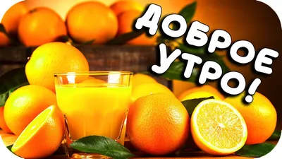 Видеооткрытка Доброе утро! Самая Красивая Открытка С Добрым Утром! Хорошего  дня! картинки