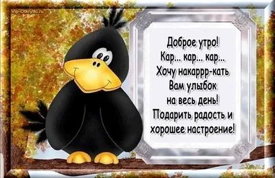 Прикол доброе утро хорошего дня (73 лучших фото) картинки