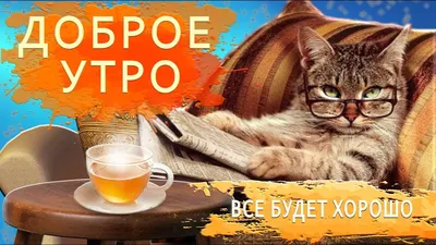 Доброе утро коллеги: картинки и открытки прикольные и смешные картинки