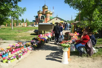 На Кубани Радоницу объявили выходным днем картинки