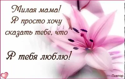 Пин от пользователя Акмолдина Асель на доске карта желаний | Надписи, Я тебя  люблю, Карта желаний картинки