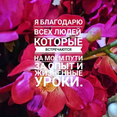 Я благодарю всех людей, которые встречаются на моём пути за опыт.🤗🙏😇🌹☀  . Если Вам понравилась данная публикация, поделитесь ею … | Movie posters,  Poster, Movies картинки