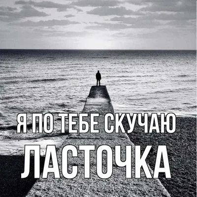 Открытка с именем Ласточка Я по тебе скучаю тоскливо. Открытки на каждый  день с именами и пожеланиями. картинки