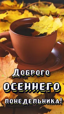 Осень 🍂 Понедельник | Цитаты про утро понедельника, Доброе утро, Открытки  ко дню рождения картинки