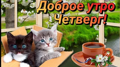 Доброе Утро Четверг! Солнечного,Позитивного дня! 5 мая. - YouTube картинки