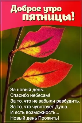 Картинки с добрым утром пятницы — 🎁 Скачать бесплатно картинки с  пожеланиями на Pozdravim-vseh.ru картинки