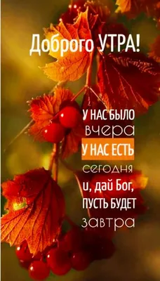 veronika smolkova on Twitter: \"@DilyaMirsaidova @yakamilla8 @Baluinkognito  @Djeihunbek @b_bratstvoBron @i9wW6NddYVtZMVa @48Josip @Olegish10 @inna_raz  @FQ38SxwxZqVwZcV @t_krauze @m_borisp @Yh8hQrnVmT8qv9k @rpmubhsTjQbJZ5b  @Tatasazo7 @EDomovoj ... картинки