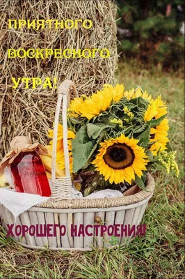 ВОСКРЕСЕНЬЕ! 🌻🐓💐🏠🌿🐓🌻 ДОБРОЕ УТРО! 💗 УДАЧНОГО ДНЯ! 💗 | Открытки,  Благодарственные открытки, Доброе утро картинки