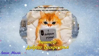 Видеооткрытка ☕ С Добрым Зимним Утром Удачного Воскресенья и Хорошего Дня.  Красивое Пожелание Доброе Утро Открытка картинки