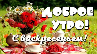 Доброе утро, с воскресеньем! Доброго воскресного дня! Открытка С Добрым  утром - YouTube картинки