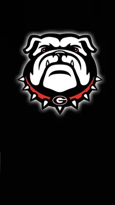 Georgia Bulldogs Wallpapers on WallpaperDog картинки