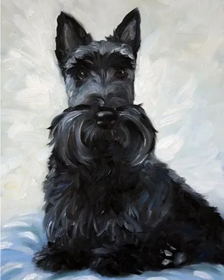 ПРИНТ Черный шотландский терьер Scottie Dog Art Print Oil - Etsy картинки