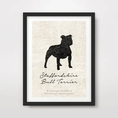 СТАФФОРДШИРСКИЙ БУЛЬТЕРЬЕР STAFFY DOG ART PRINT POSTER Порода Силуэт Home Decor Wall Picture A4 A3 A2 (10 размеров) : Amazon.co.uk: Товары ручной работы картинки