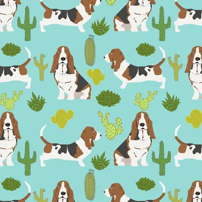 Ткань для собак Basset Hound Mint Cactus Pet Dog Fabric - Etsy UK | Бассет-хаунд, Бассет, Ткань кактус картинки