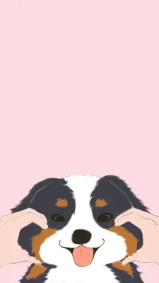 Бесплатные обои для iPhone Бернский зенненхунд (щенок) | Dog wallpaper iphone, Обои для собак, Поделки для собак картинки