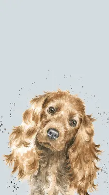 бафф кокер-спаниель телефон обои | Perros dibujos a lapiz, Perros cocker, Ilustración de perro картинки