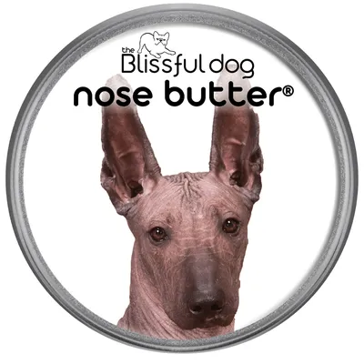 Amazon.com: масло для носа без запаха The Blissful Dog Xoloitzcuintli - масло для носа собаки, 8 унций: красота и личная гигиена картинки