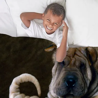 Одеяло CafePress Shar Pei Pupsthrow Супермягкое флисовое плюшевое одеяло, 60\ картинки