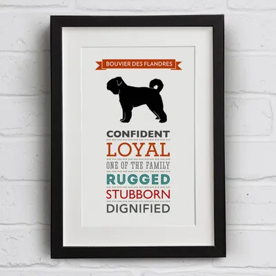 Печать черт породы собак Bouvier Des Flandres By Well Bred Design | notonthehighstreet.com картинки