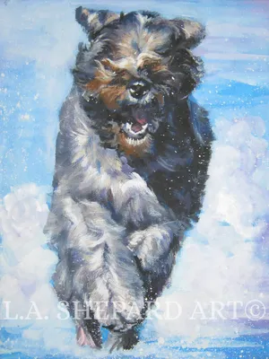 BOUVIER Des Flandres Dog ART PRINT of Lashepard Painting 8x10 - Etsy картинки