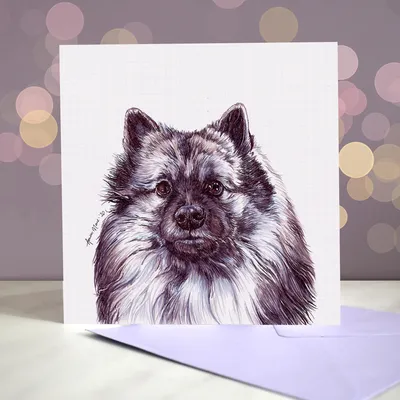 Поздравительная открытка Keeshond / Пустая внутри / Открытка от собаки / - Etsy Финляндия картинки