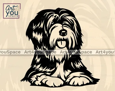 Тибетский терьер SVG PNG DXF, Cricut File, Clipart Download, Dog Face Vector – Art4youSpace картинки