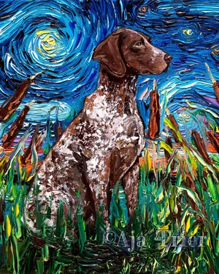 Немецкий короткошерстный пойнтер Art 8x10 Starry Night Print Dog - Etsy картинки