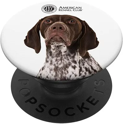 Amazon.com: AKC German Shorthaired Pointer Photo PopSocket : Сотовые телефоны и аксессуары картинки