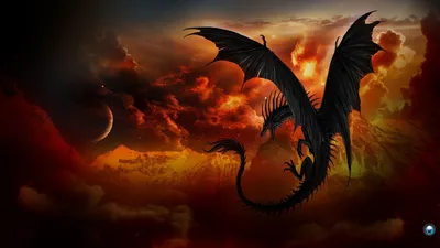 HD Dragon Wallpapers - Лучшие бесплатные HD обои с драконом картинки