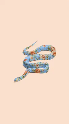 Snake Wallpapers - Топ 35 лучших фонов со змеями Скачать картинки