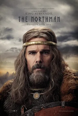 О многочисленных гениталиях The Northman: «У вас не может быть пенисов в самолетах» — Полигон картинки