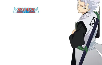 Обои Bleach, Блич, капитан, синигами, занпакто, бочком, Hitsugaya Toshirou, by Tite Kubo картинки на рабочий стол, раздел сёнэн - скачать картинки