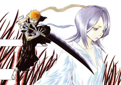 Изображение BLEACH от Kubo Tite #3201200 - Zerochan Anime Image Board картинки