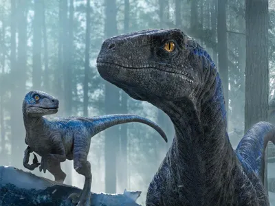 30+ Jurassic World: Dominion HD обои и фоны картинки